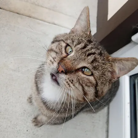Lägenhet Burren House *